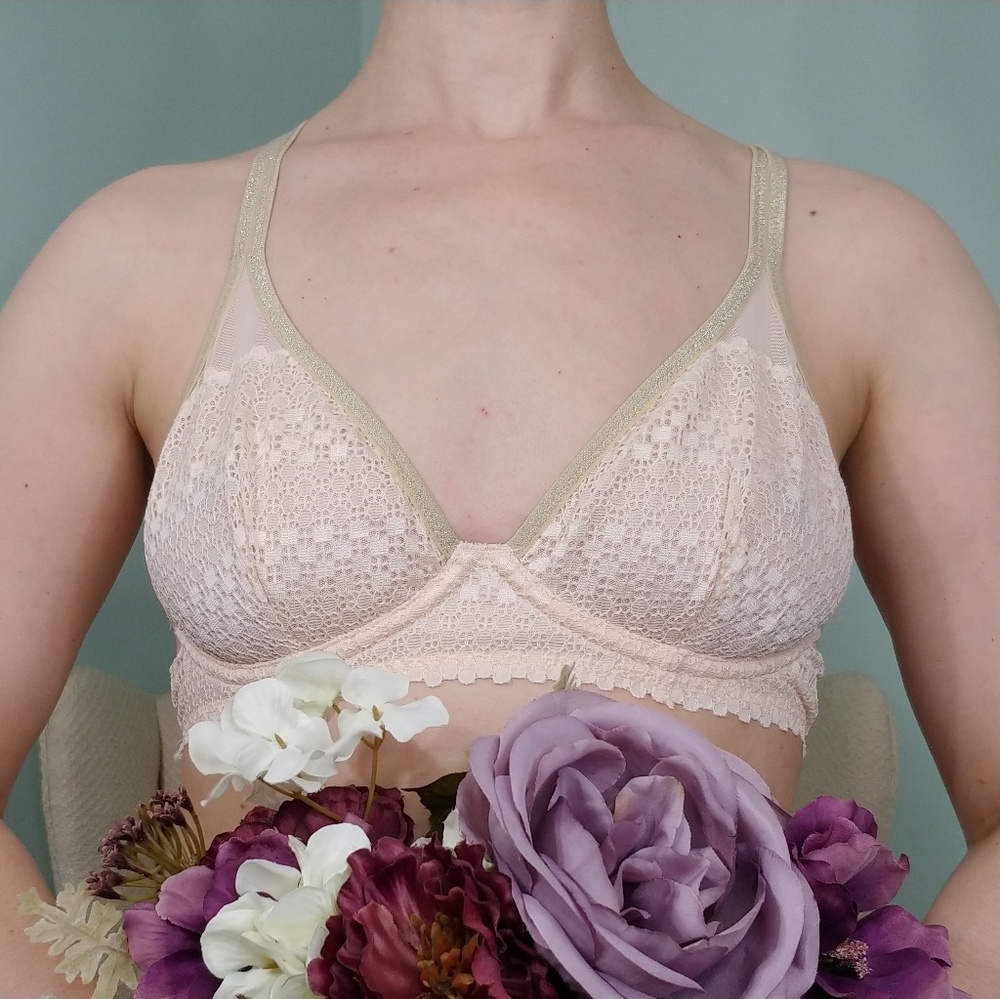 aerie Pink and Gold Bra
